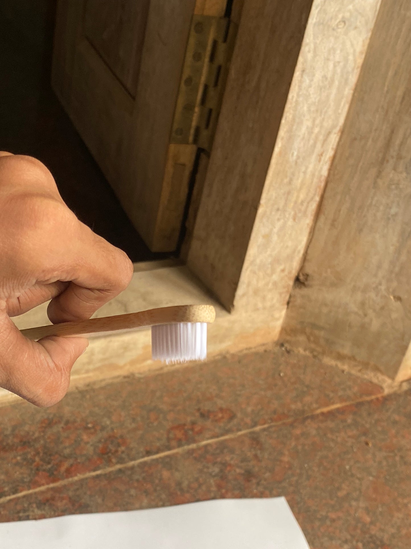 2 TOOTH BRUSH SPL COMBO